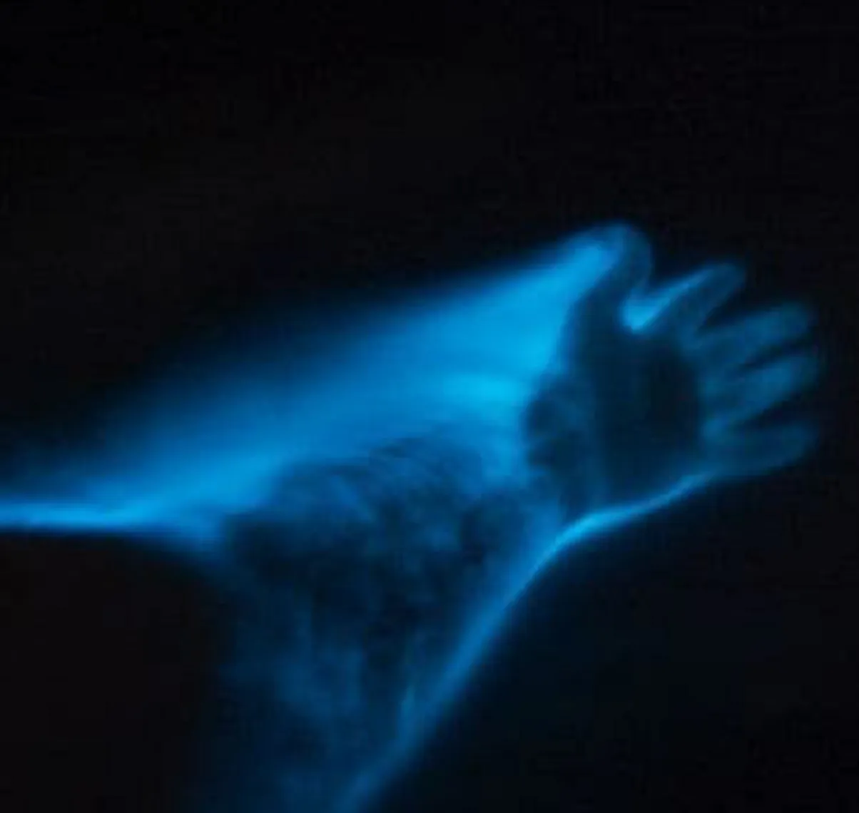 Bioluminescent-Bay_03