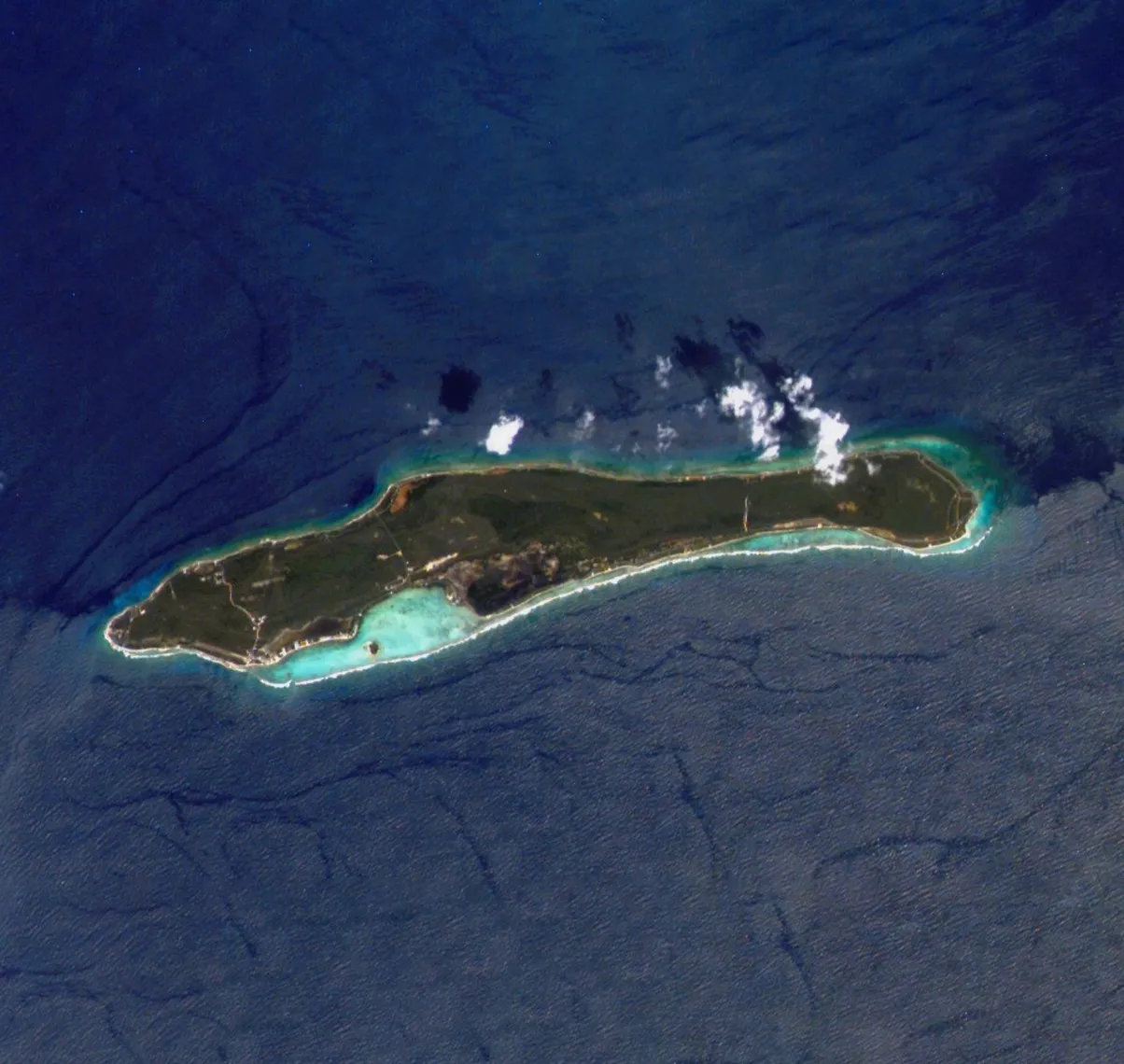 LIttle-Cayman_03
