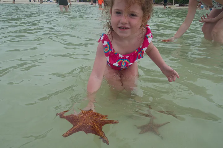 STARFISH-POINT_05