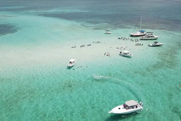 Stingray City Tour (3 Stops)