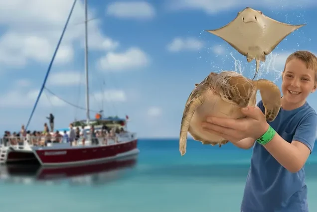 Stingray City and Turtle Center Tour